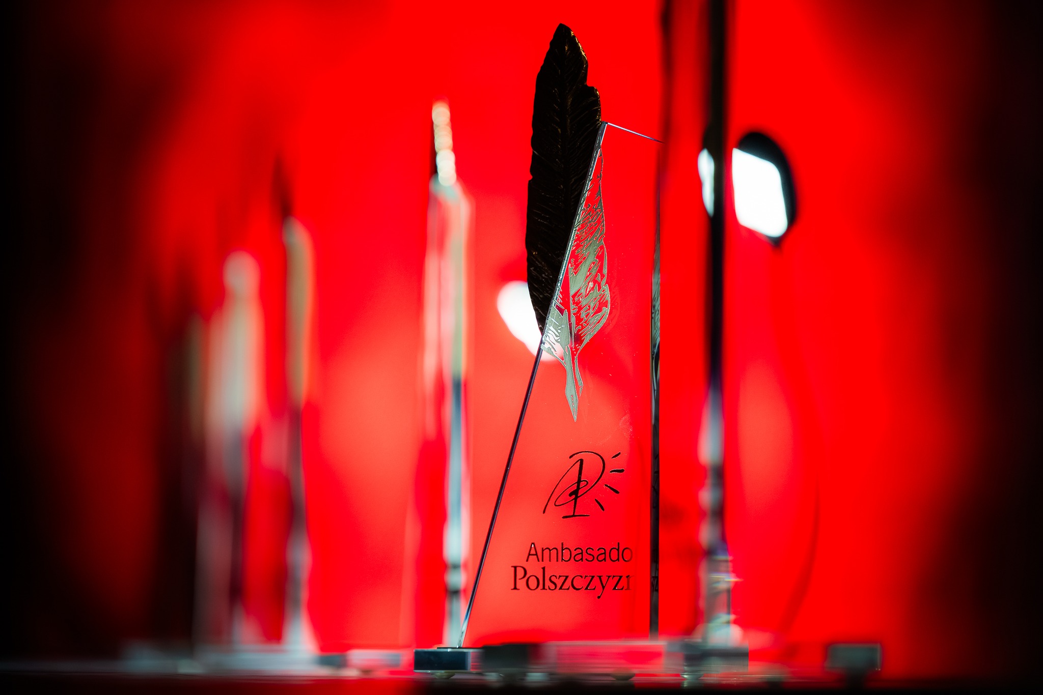 Na fotografii widoczny jest rząd szklanych statuetek ustawionych na gładkiej, błyszczącej powierzchni. Kadr wykonano z niskiej perspektywy i z niewielką głębią ostrości. Ostry obraz obejmuje jedną statuetkę znajdującą się na pierwszym planie, natomiast kolejne, ustawione w linii za nią, stopniowo rozmywają się w tle.
Centralna statuetka ma formę pionowego, przezroczystego prostopadłościanu ze szkła. W jego wnętrzu umieszczony jest metalowy element w kształcie pióra, osadzony ukośnie, z wyraźnie zaznaczoną chorągiewką i ostrym zakończeniem. Całość spoczywa na niewielkiej, ciemnej podstawie.
Na dolnej części szklanej bryły widoczny jest czarny napis: „Ambasador Polszczyzny”. Nad nim znajduje się niewielki znak graficzny przypominający odręczny podpis lub symbol artystyczny.
Tło fotografii stanowi intensywna, jednolita czerwień. Widoczne są w nim pionowe pasy światła oraz jasne punkty, przypominające reflektory lub oświetlenie sceniczne. Czerwona barwa mocno kontrastuje z przezroczystością szkła i metalicznym połyskiem pióra.
Światło odbija się w krawędziach statuetki, podkreślając jej elegancki, nagrodowy charakter. Cała scena sprawia wrażenie oficjalnej ekspozycji wyróżnień przygotowanej na uroczystą galę lub wydarzenie kulturalne.