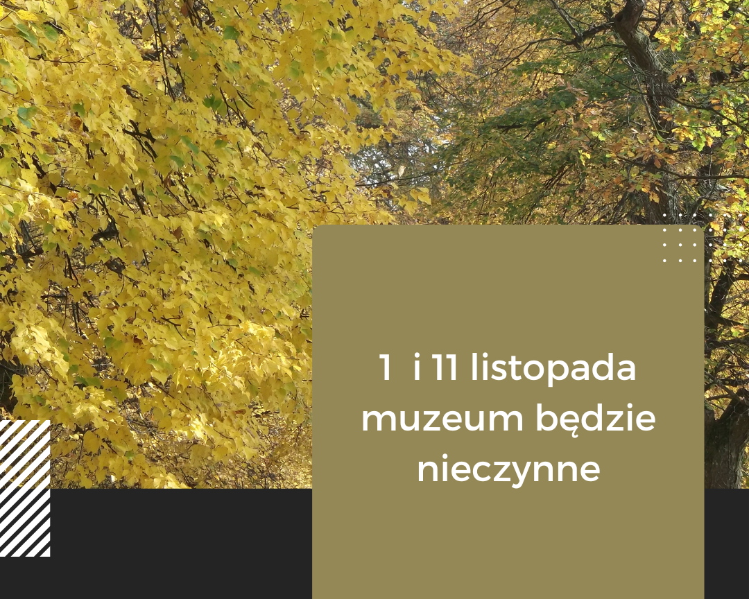 Infografika z widokiem parkowej alei jesienią oraz napisem 1 i 11 listopada Muzeum nieczynne na ciemno zielonym tle.